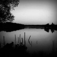 /album/bfis/photolia-b01-jpg/